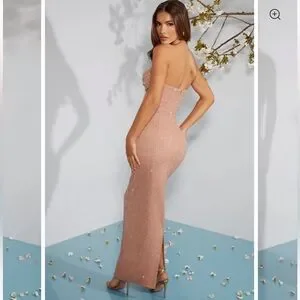 Long Sleeve Dusty Pink Oh Polly Blush Dress Oh Polly Dresses Oh Polly  Palermo Embellished Bandeau